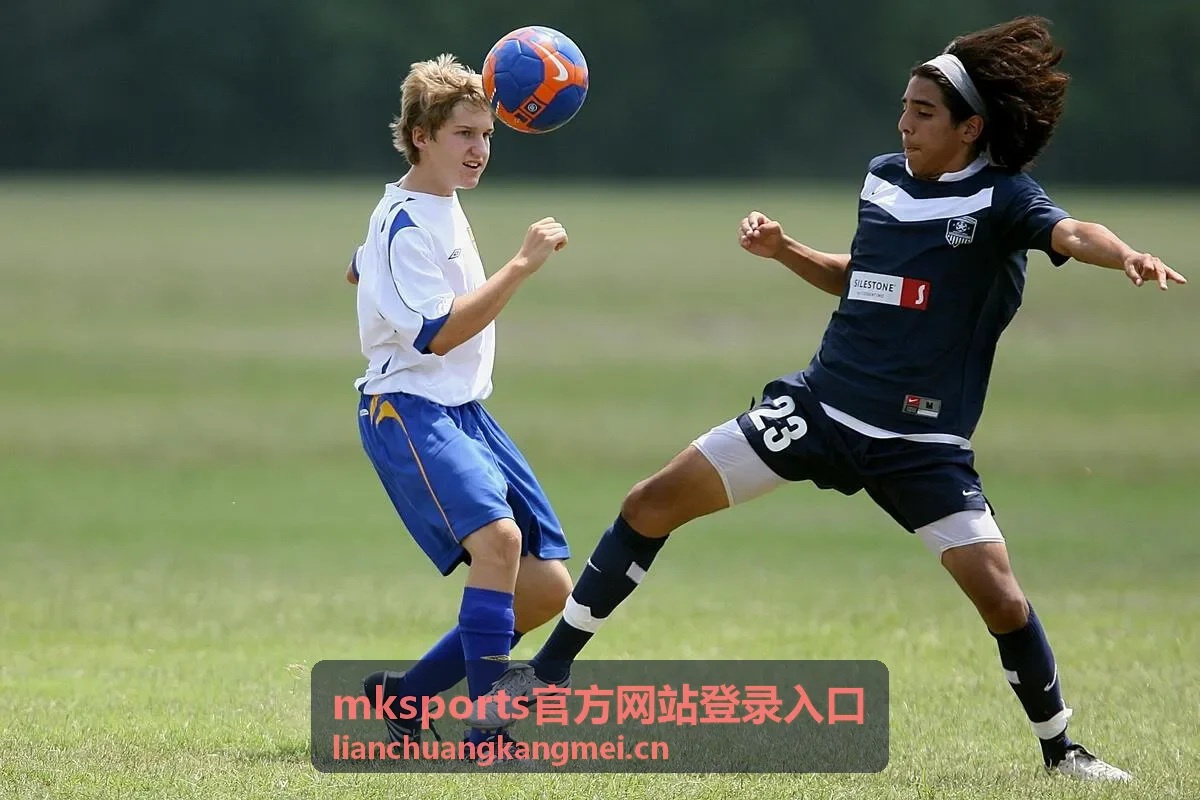 mksports官方网站登录入口个人访问